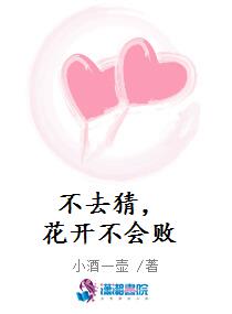 稀有治愈师攻略指南