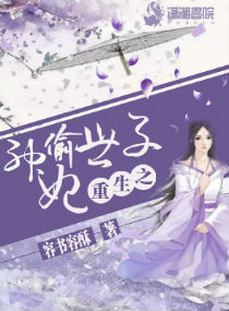 重生之神偷世子妃